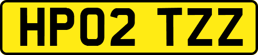 HP02TZZ