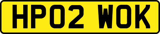 HP02WOK