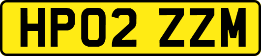 HP02ZZM