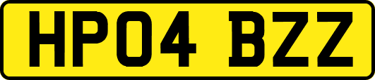 HP04BZZ