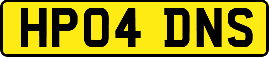 HP04DNS