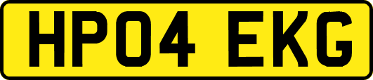 HP04EKG