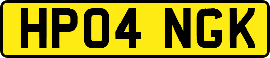 HP04NGK
