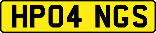 HP04NGS