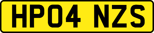 HP04NZS