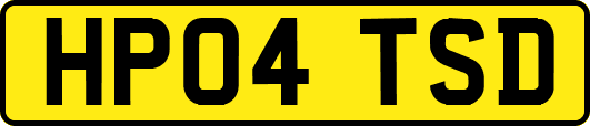 HP04TSD