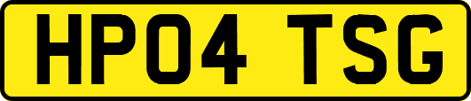 HP04TSG