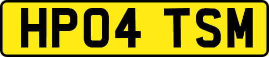 HP04TSM