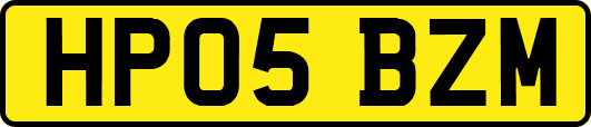 HP05BZM