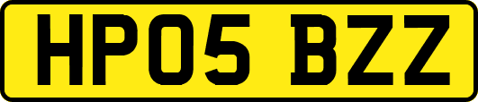 HP05BZZ