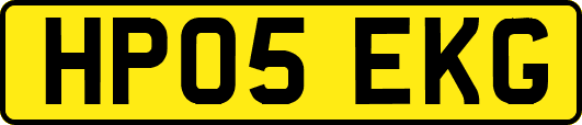 HP05EKG