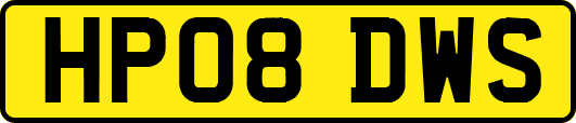 HP08DWS
