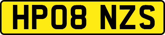 HP08NZS