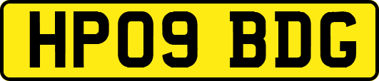 HP09BDG