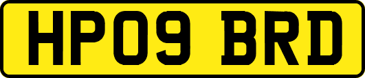 HP09BRD