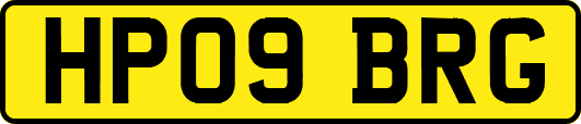HP09BRG