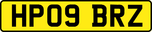 HP09BRZ