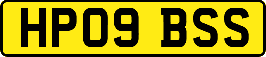 HP09BSS