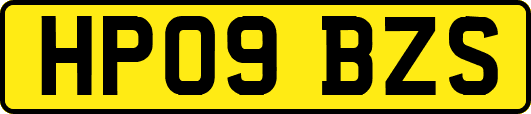 HP09BZS