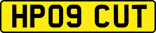HP09CUT