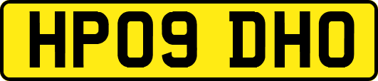 HP09DHO