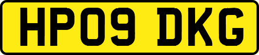 HP09DKG