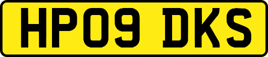 HP09DKS