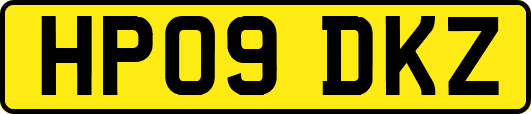 HP09DKZ