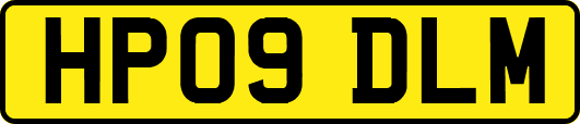 HP09DLM