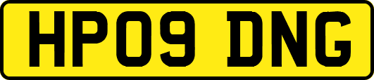 HP09DNG