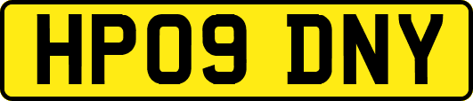 HP09DNY
