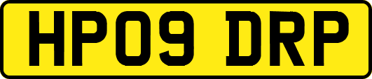HP09DRP