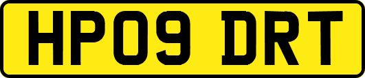 HP09DRT