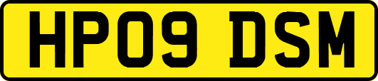 HP09DSM