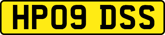 HP09DSS