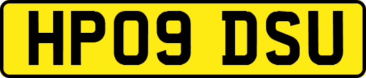 HP09DSU
