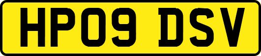 HP09DSV