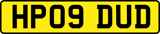 HP09DUD