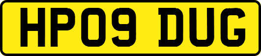 HP09DUG