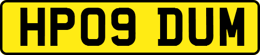 HP09DUM