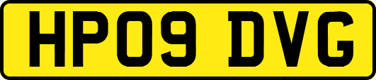 HP09DVG