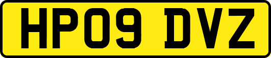 HP09DVZ