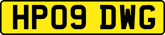 HP09DWG