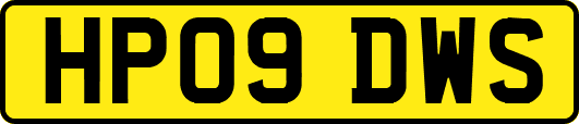 HP09DWS