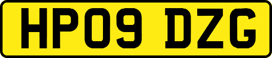 HP09DZG