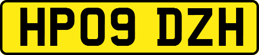 HP09DZH