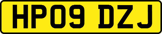 HP09DZJ