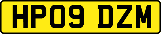 HP09DZM