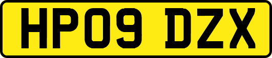 HP09DZX
