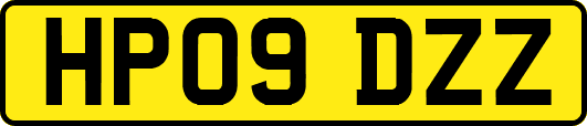 HP09DZZ
